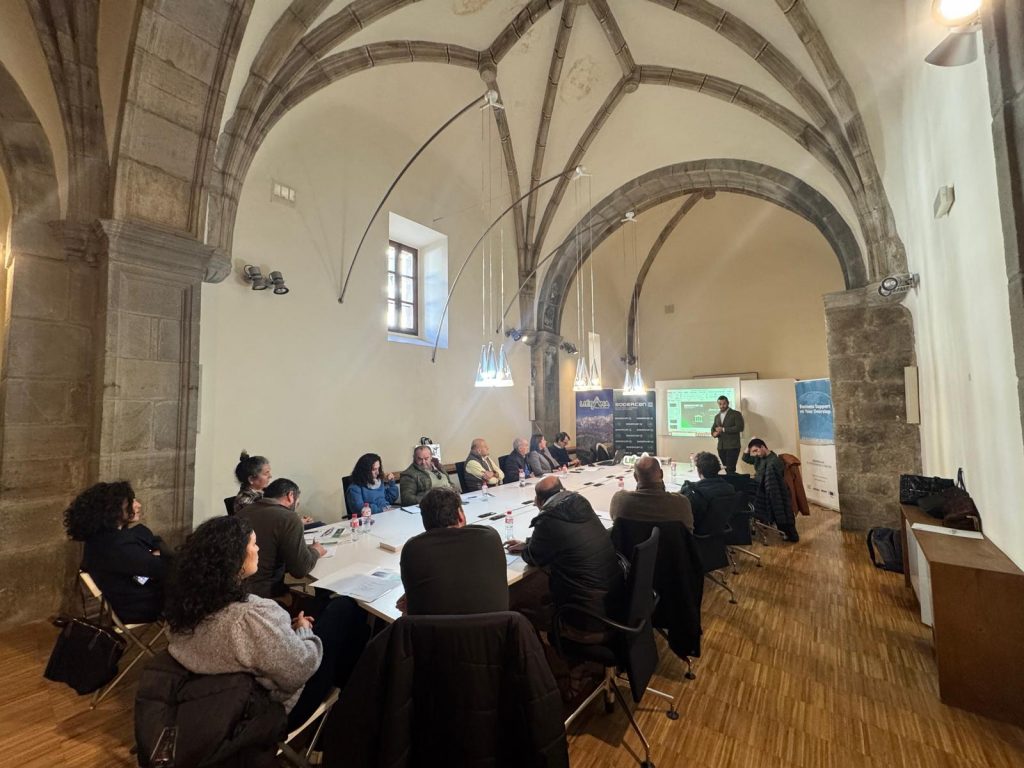 WhatsApp Image 2026-01-14 at 14.52.47