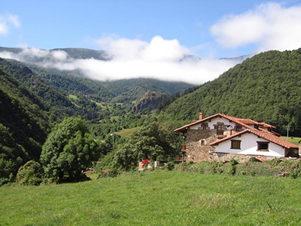 Casa de las Arcas en Vada 4