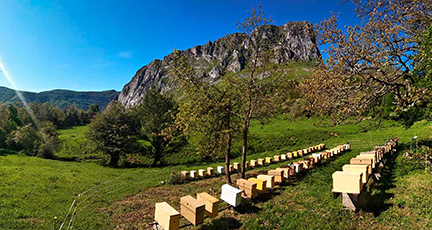 Colmenares de Vendejo y turismo apícola 8