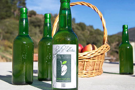 Pago de Tolina, sidra natural de Liébana 4