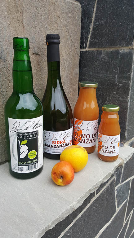 Pago de Tolina, sidra natural de Liébana 6
