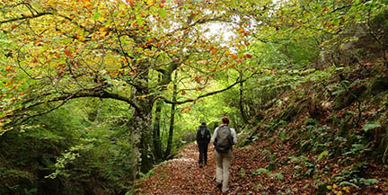 Senda, ecoturismo y naturaleza en Liébana 5